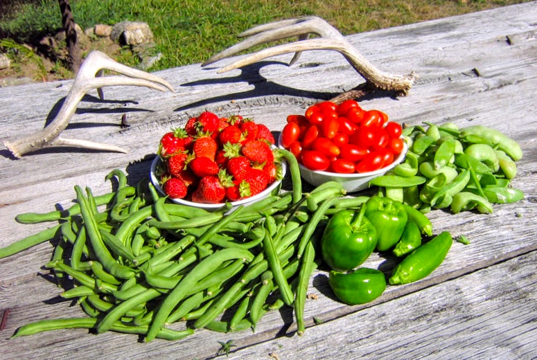 Campbell's Ferry Ranch property picture 27 of 78