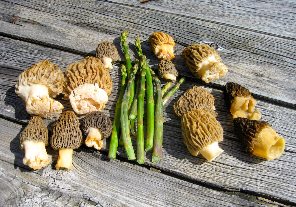 Campbell's Ferry Ranch property picture 29 of 78