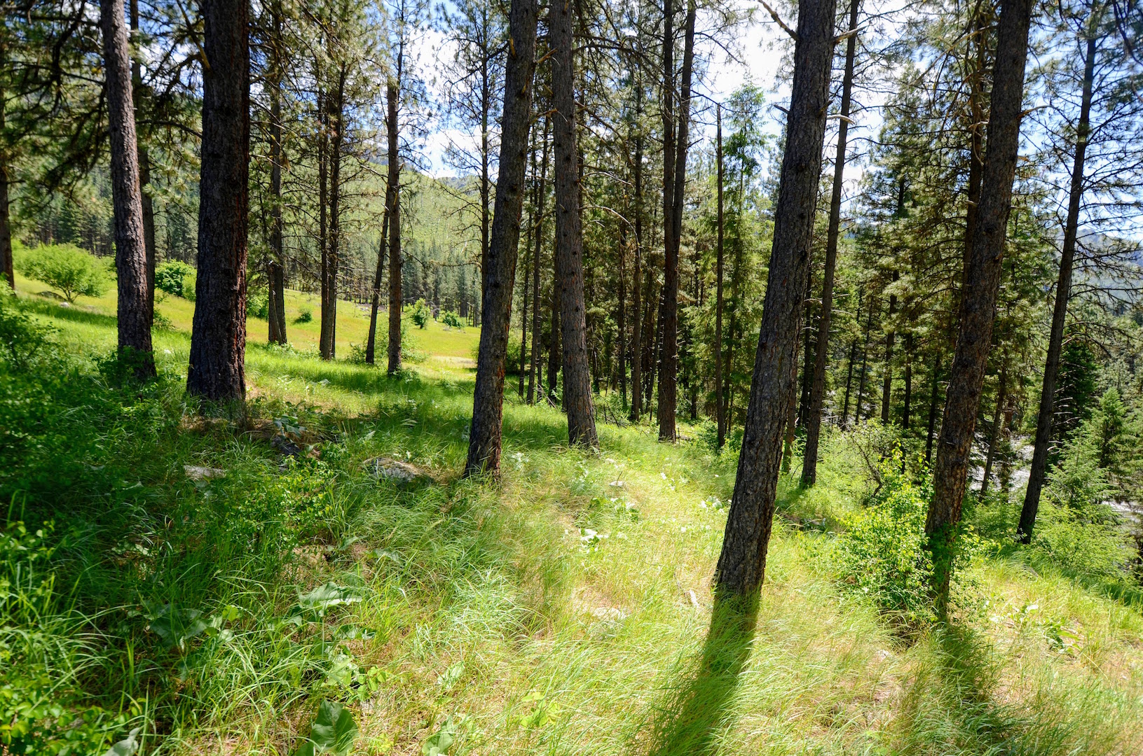 Campbell's Ferry Ranch property picture 48 of 78