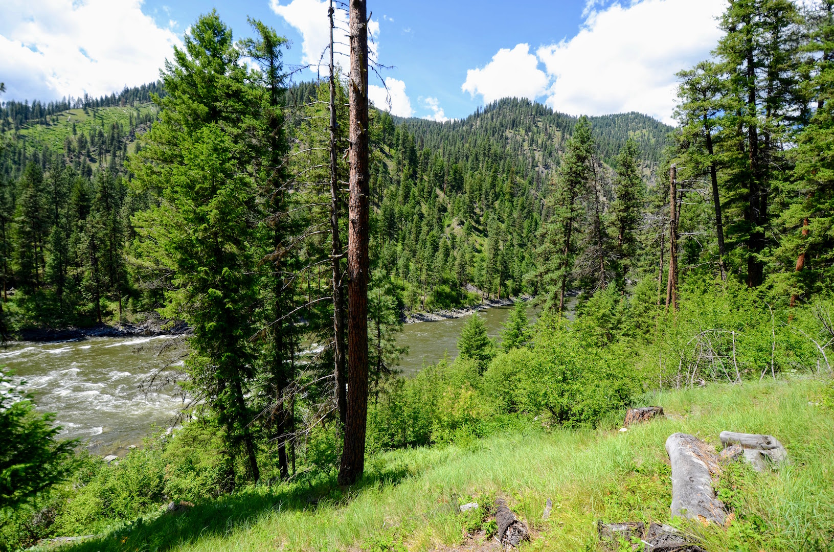 Campbell's Ferry Ranch property picture 49 of 78