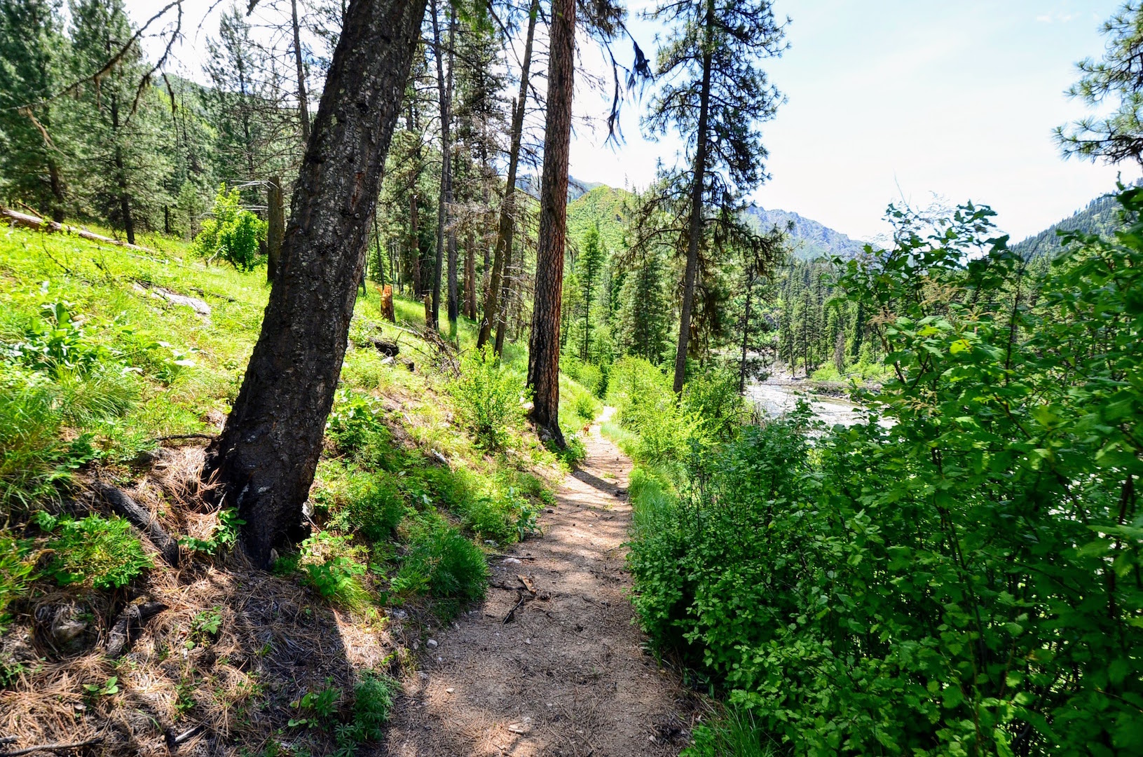 Campbell's Ferry Ranch property picture 50 of 78