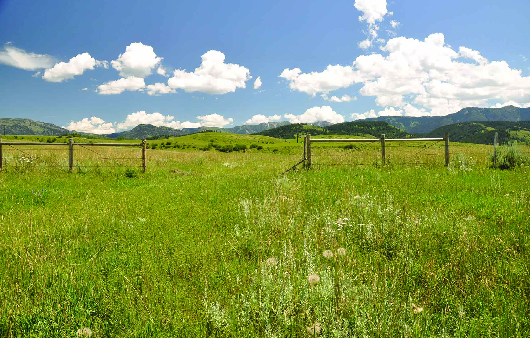 Worton Ranch property picture 8 of 21