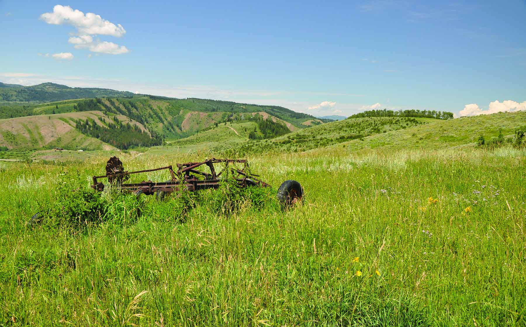 Worton Ranch property picture 14 of 21