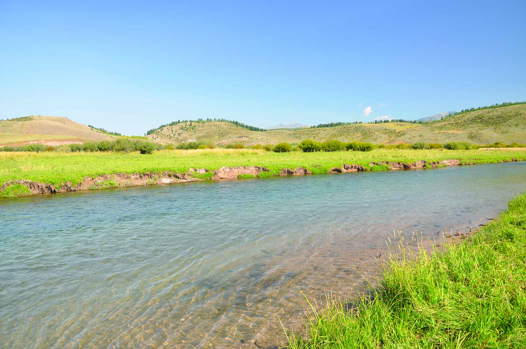 Worton Ranch property picture 3 of 21