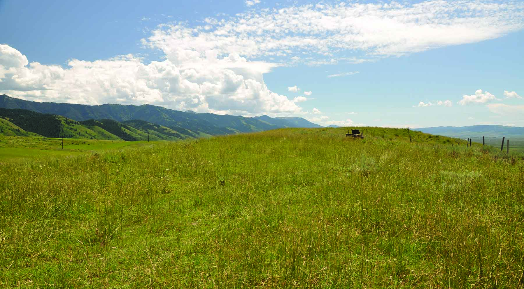 Worton Ranch property picture 19 of 21