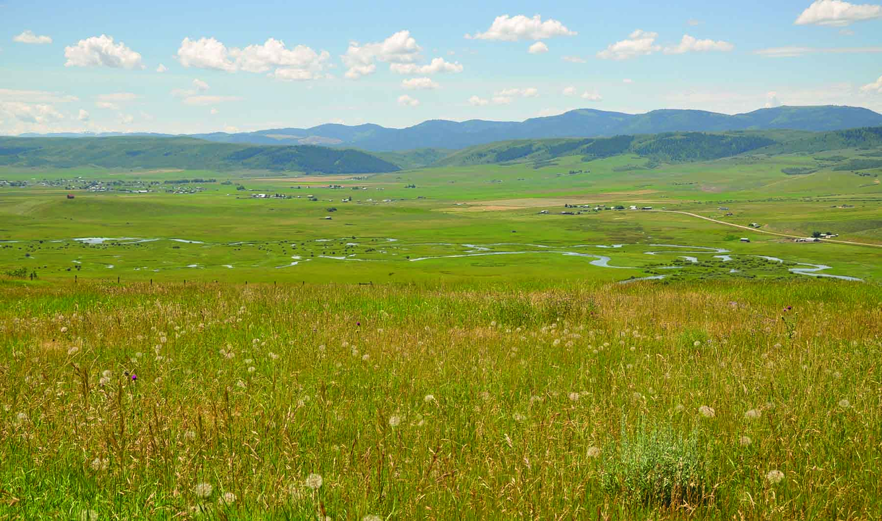 Worton Ranch property picture 17 of 21