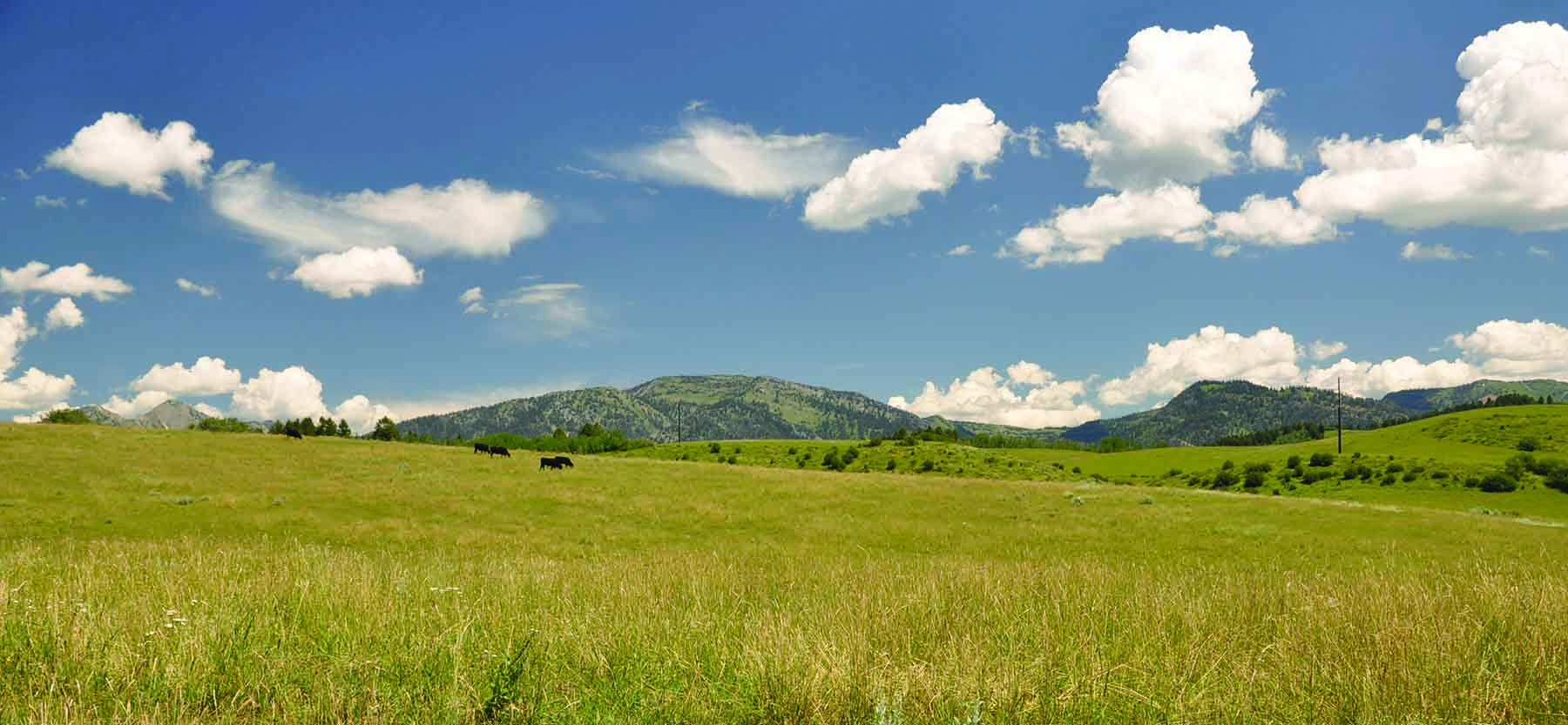 Worton Ranch property picture 12 of 21