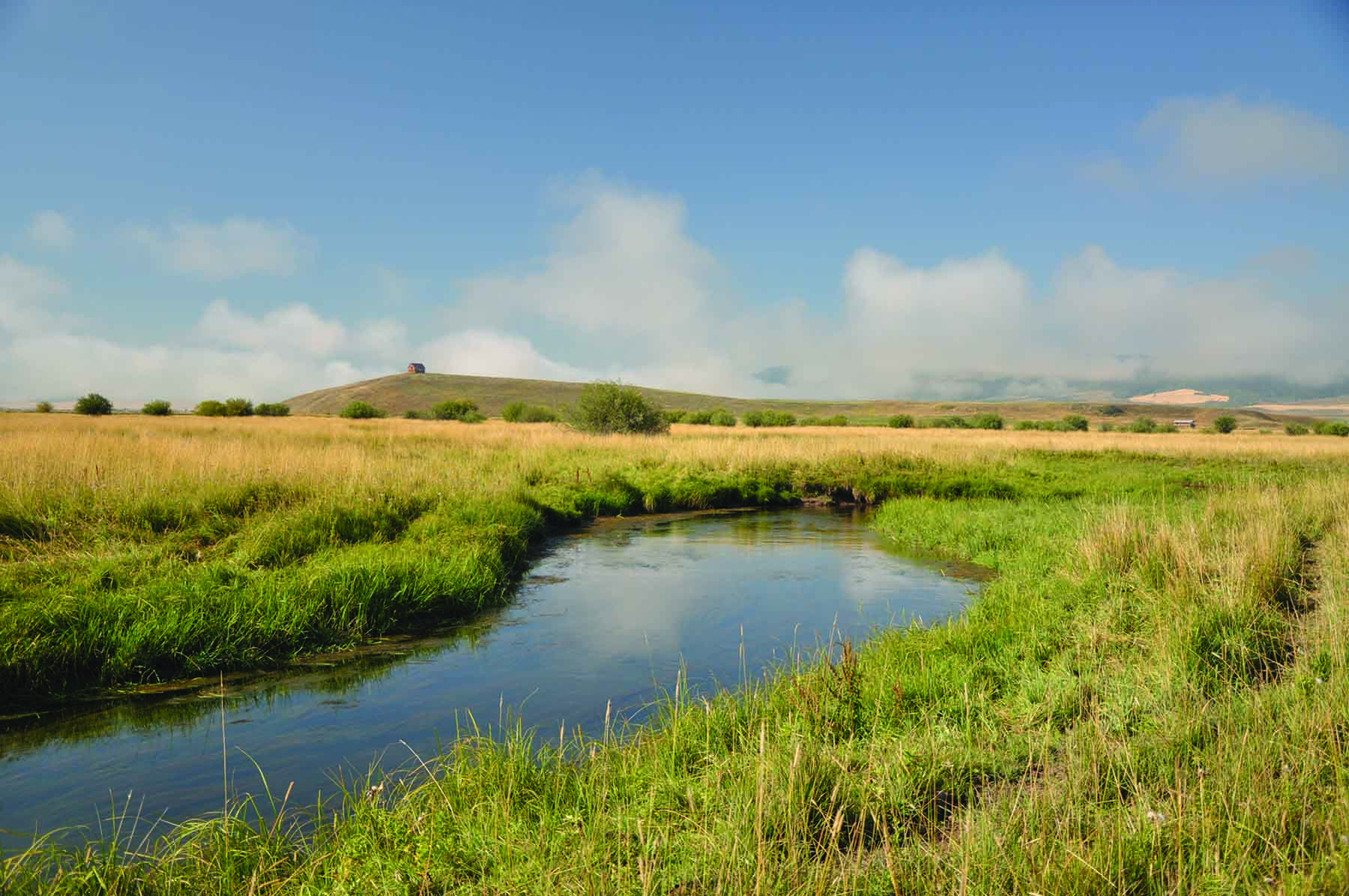Worton Ranch property picture 10 of 21