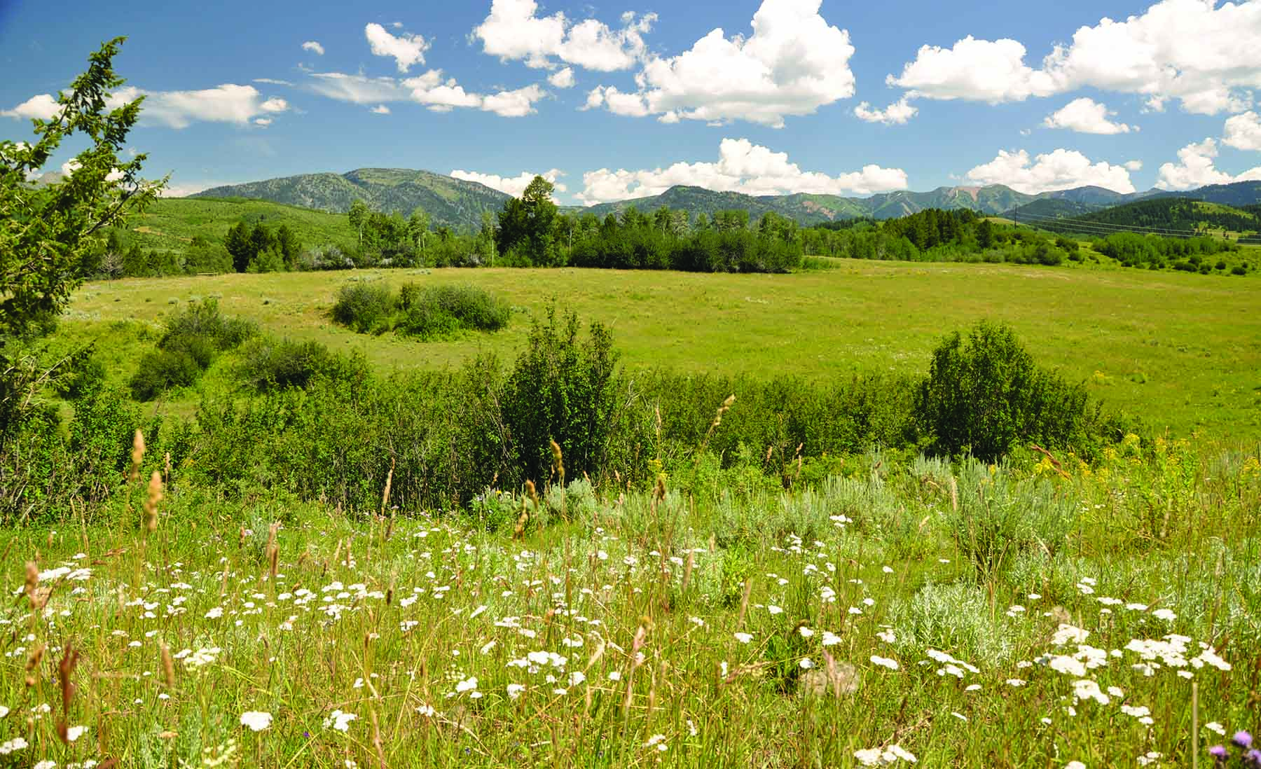 Worton Ranch property picture 15 of 21