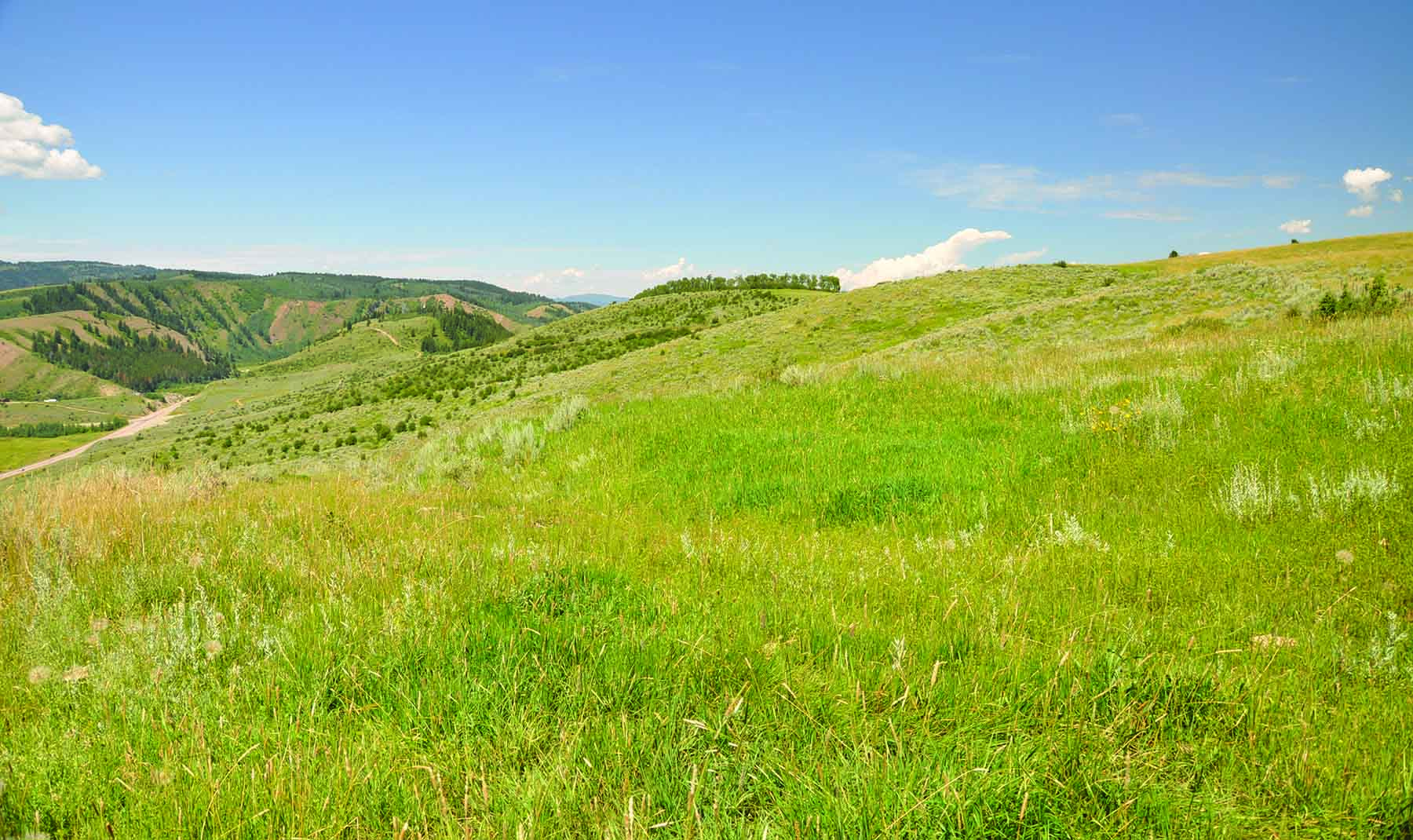 Worton Ranch property picture 6 of 21