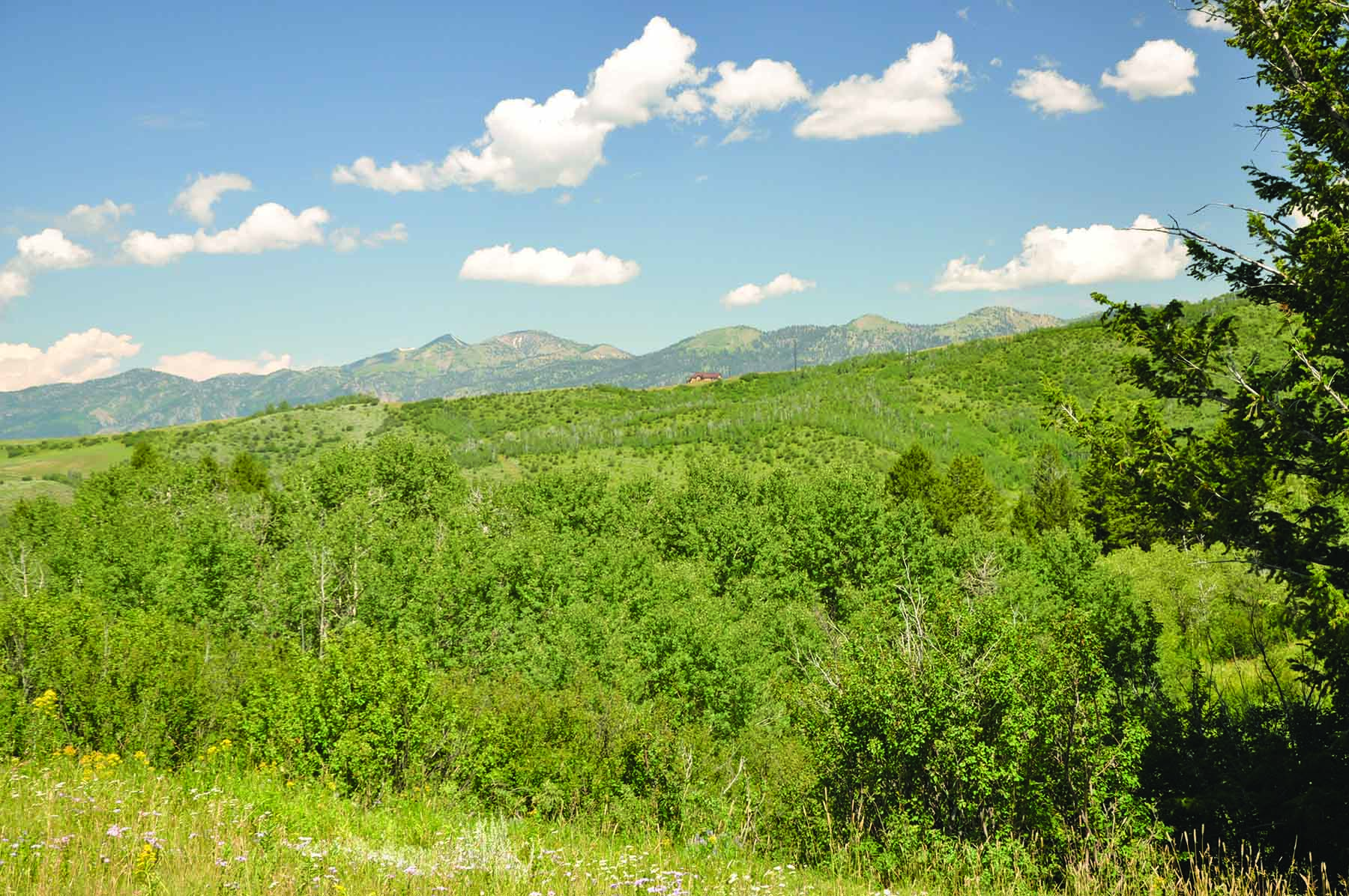 Worton Ranch property picture 20 of 21