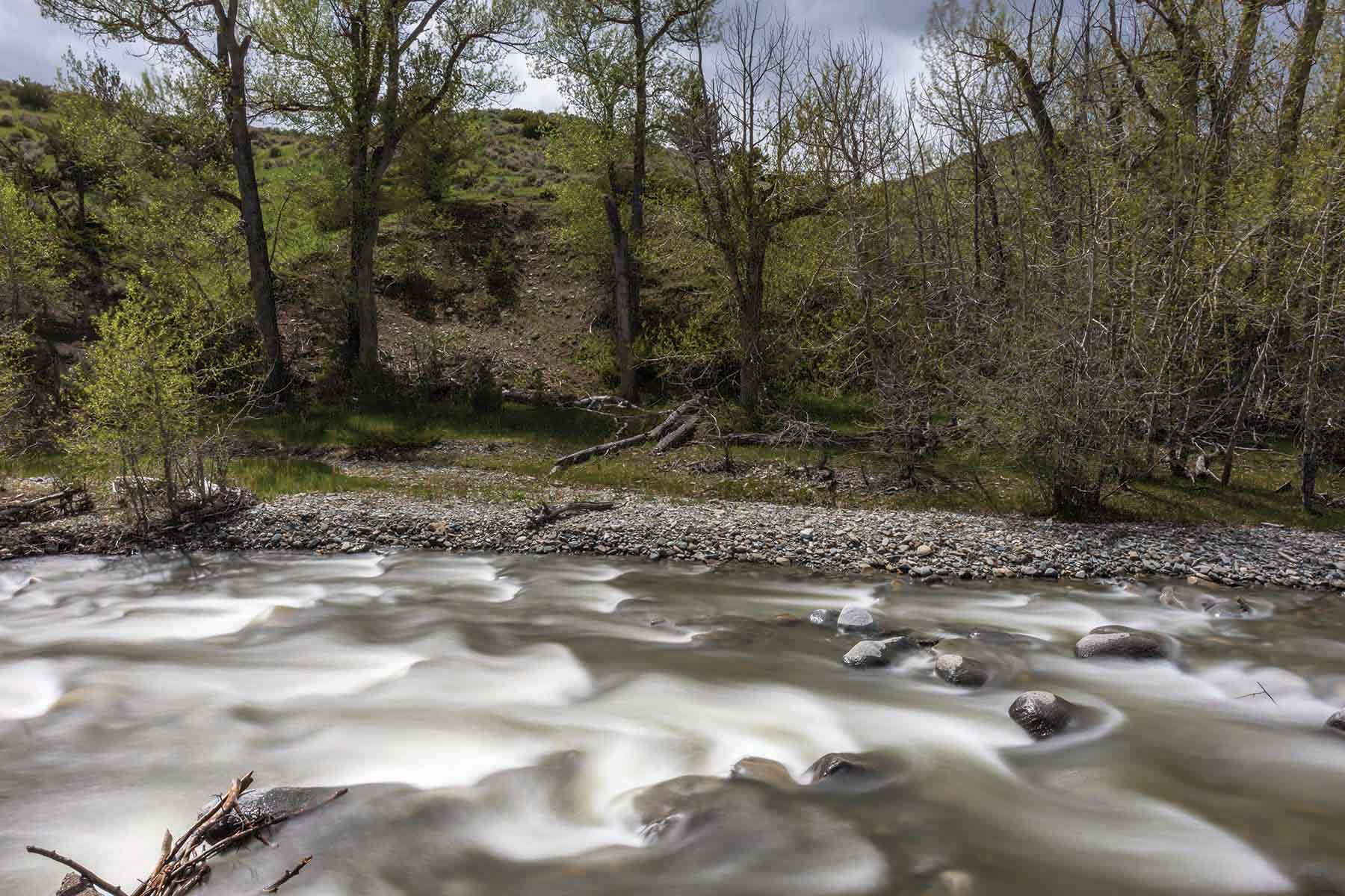 M Lazy 8 Ranch property picture 13 of 25