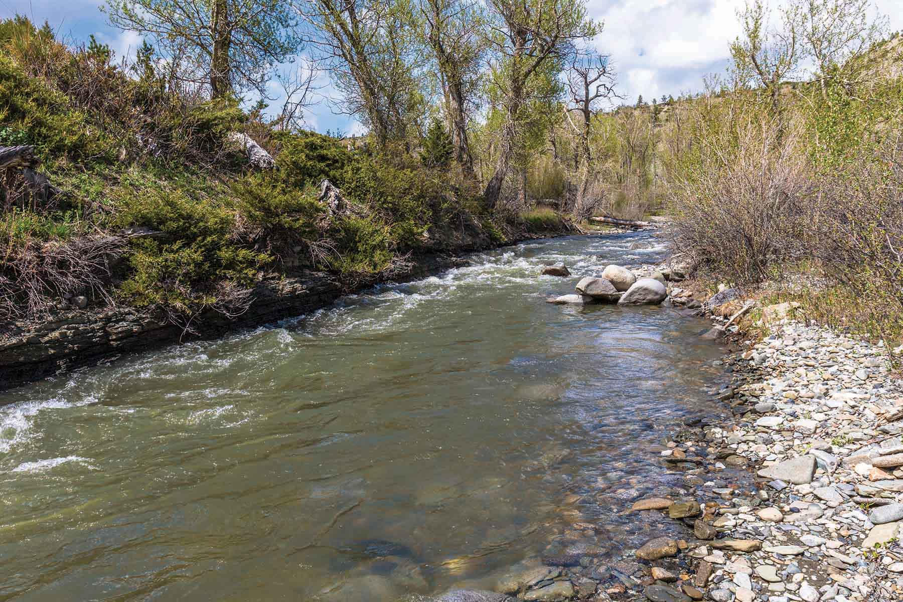 M Lazy 8 Ranch property picture 20 of 25