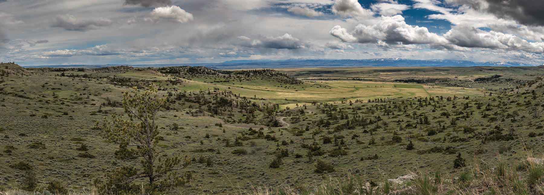 M Lazy 8 Ranch property picture 3 of 25