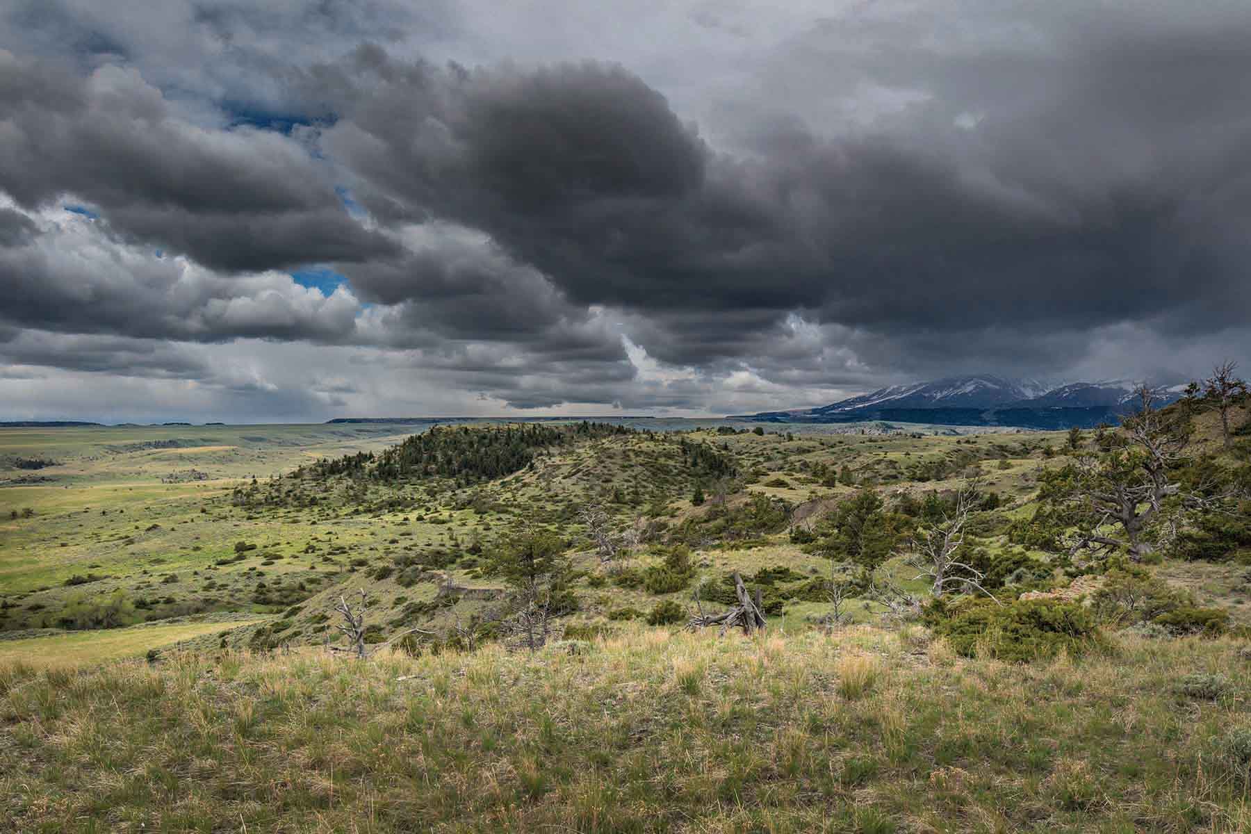 M Lazy 8 Ranch property picture 12 of 25