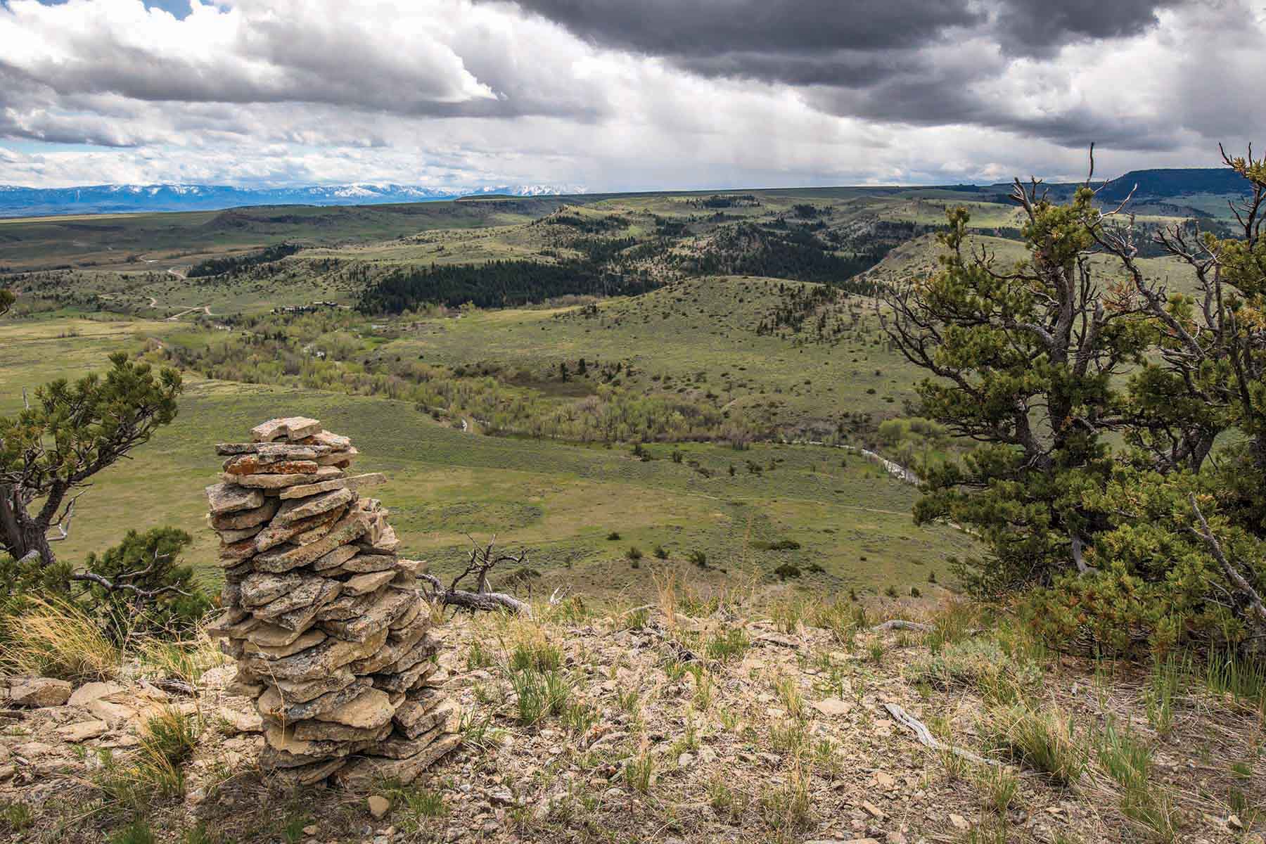 M Lazy 8 Ranch property picture 9 of 25