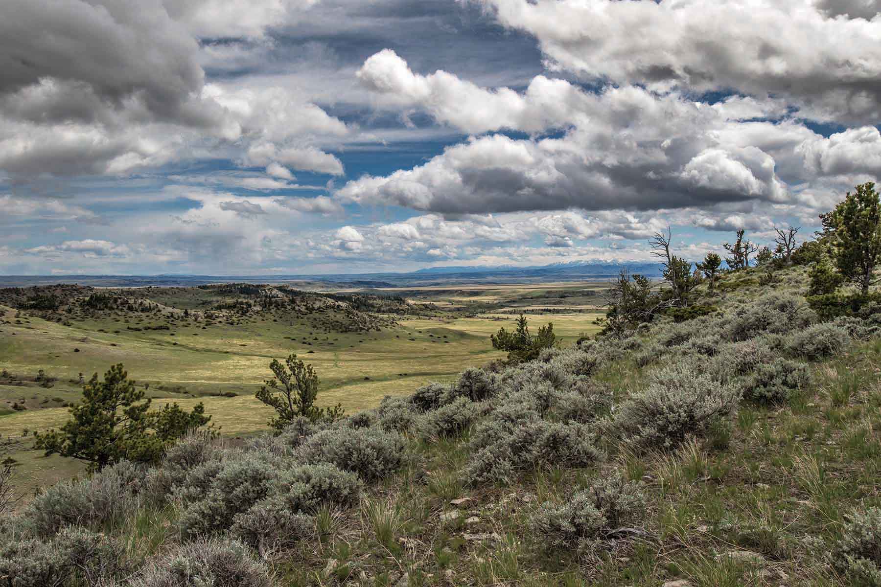 M Lazy 8 Ranch property picture 6 of 25