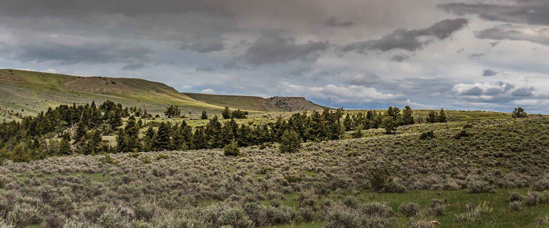 M Lazy 8 Ranch property picture 22 of 25