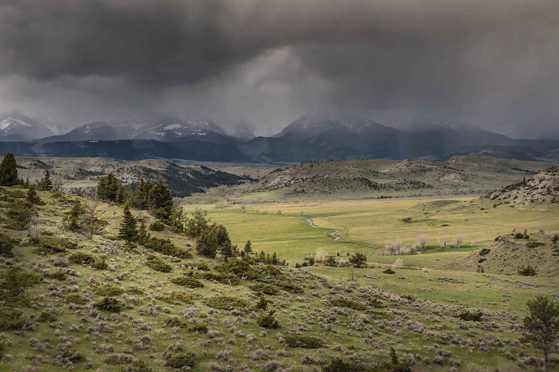 M Lazy 8 Ranch property picture 21 of 25