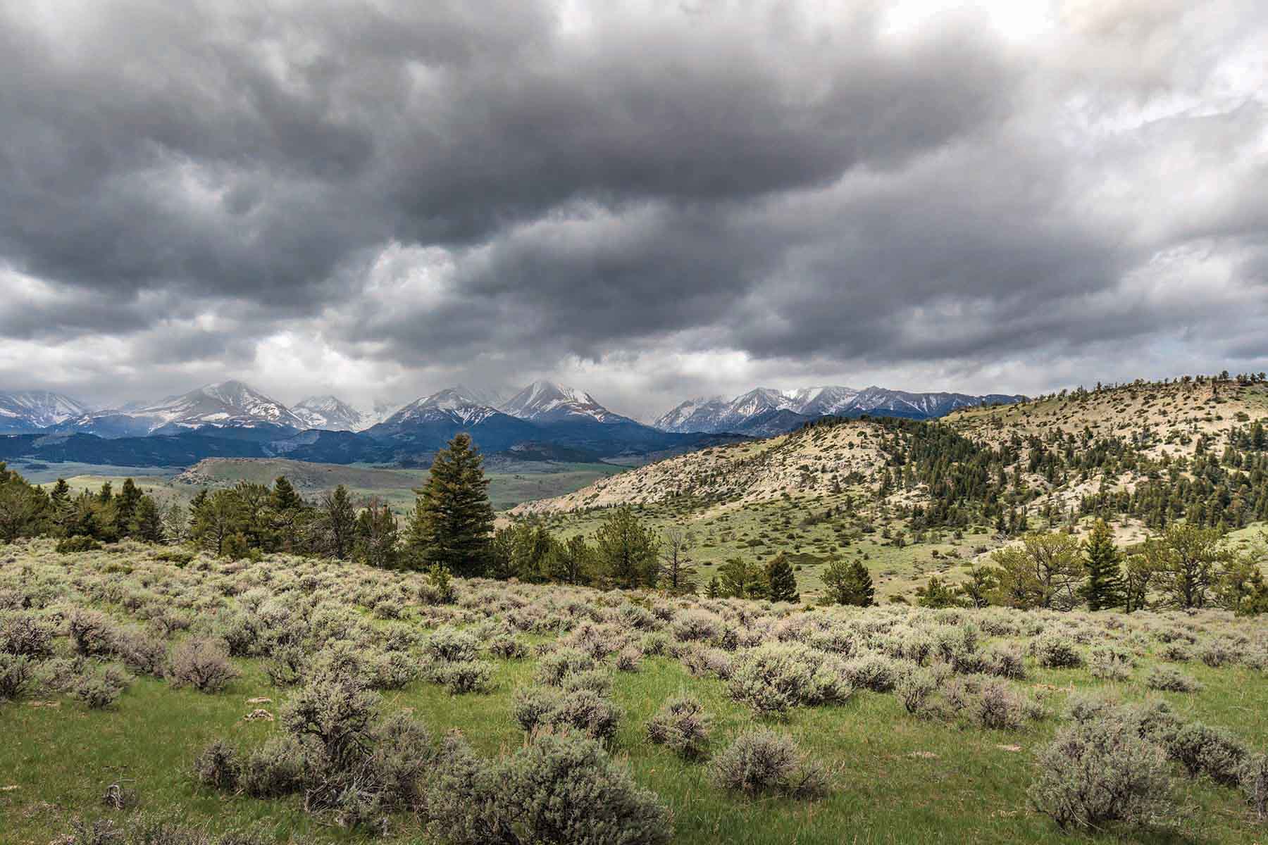 M Lazy 8 Ranch property picture 23 of 25