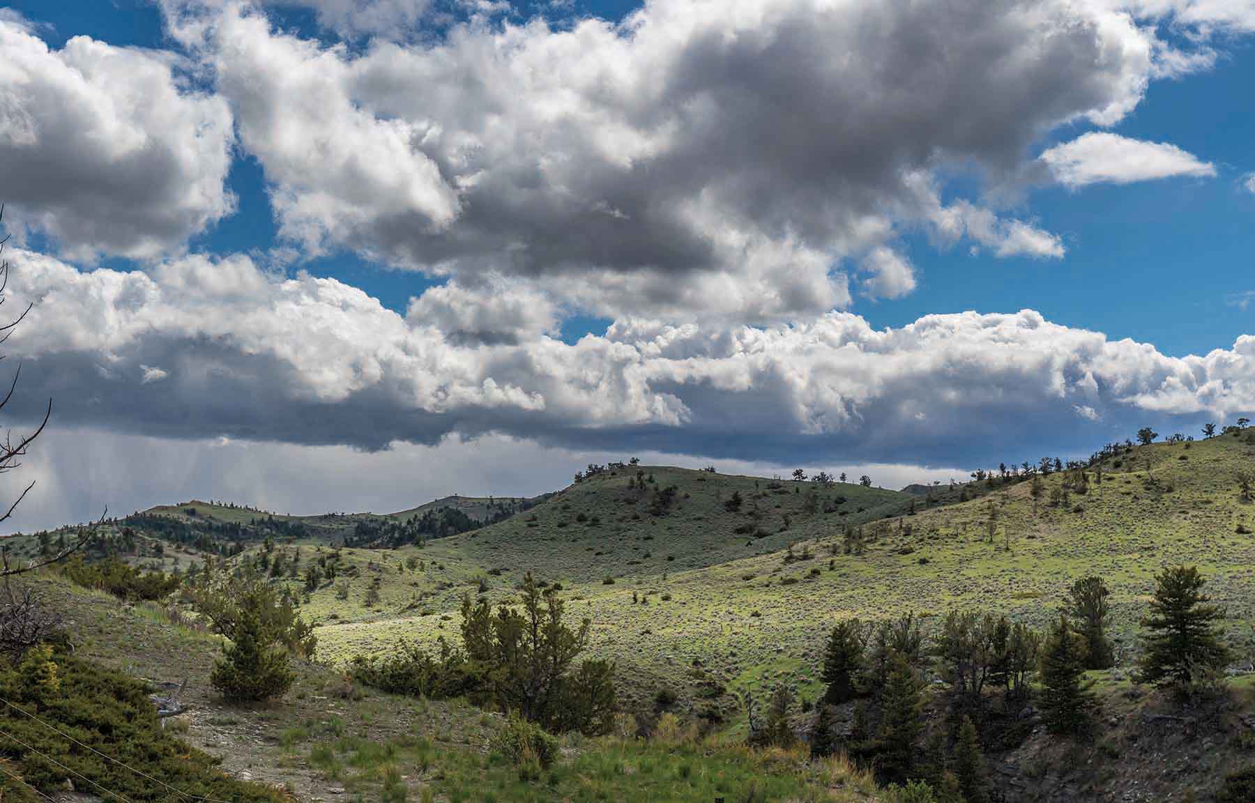 M Lazy 8 Ranch property picture 10 of 25