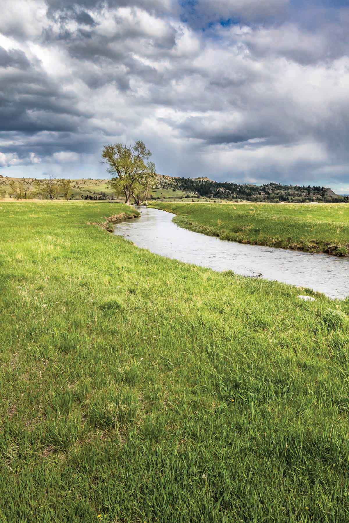 M Lazy 8 Ranch property picture 8 of 25