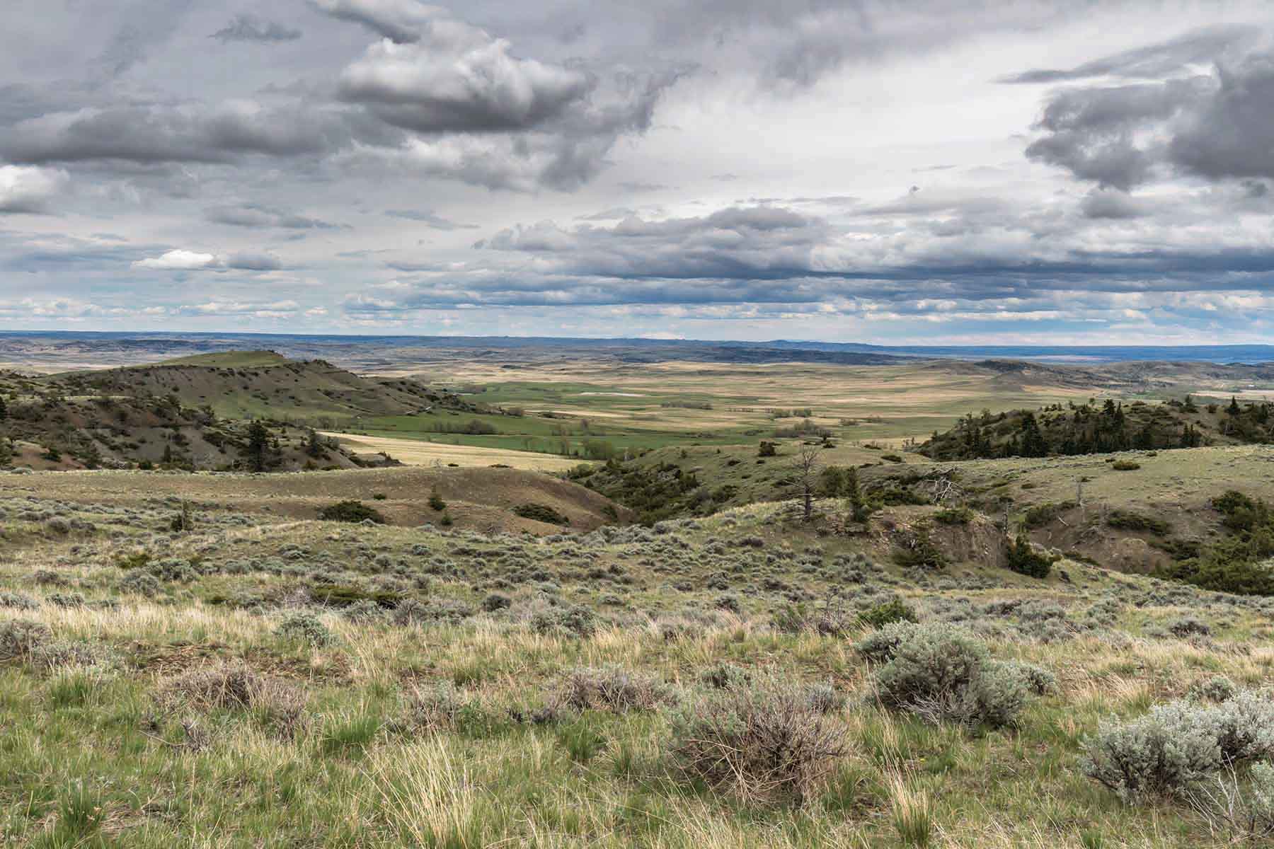 M Lazy 8 Ranch property picture 19 of 25