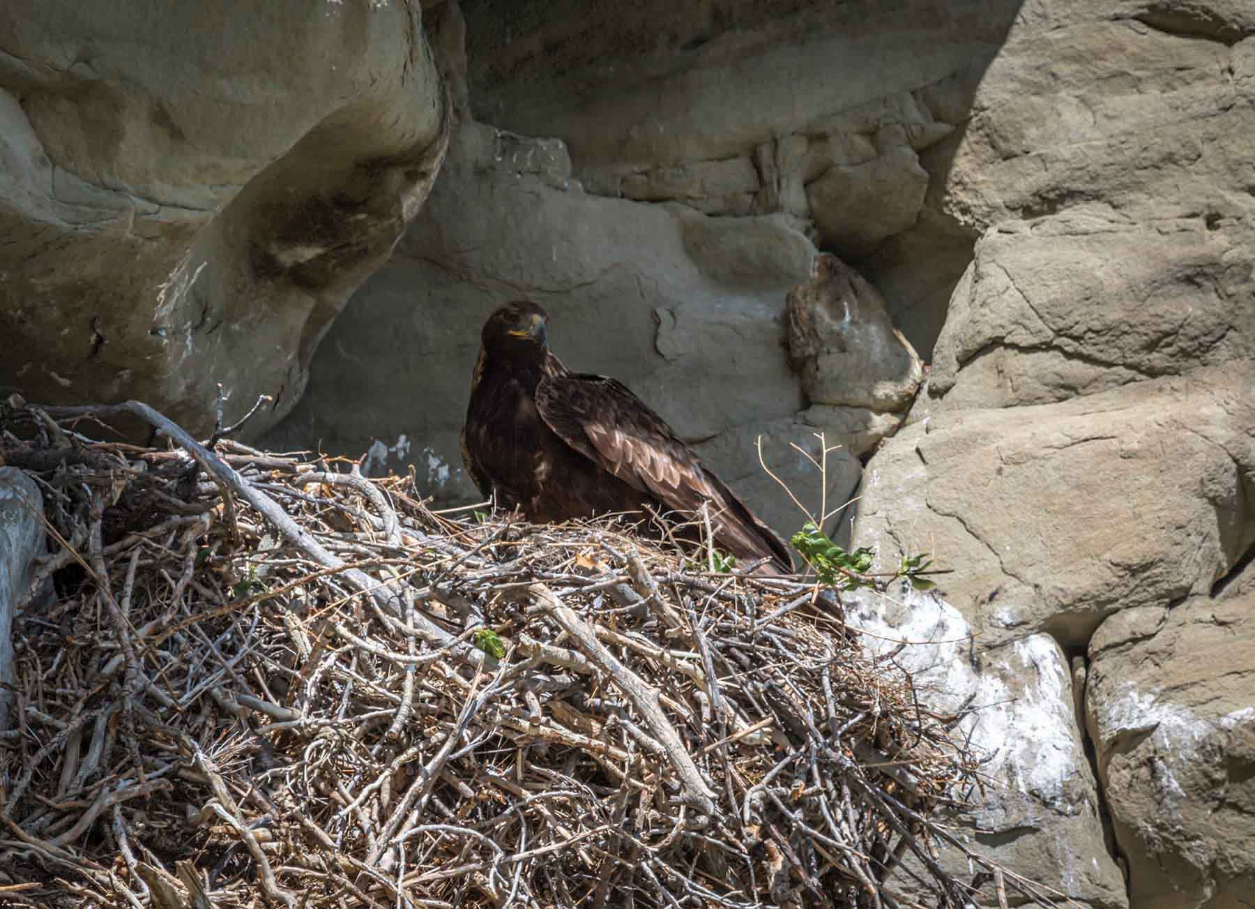 M Lazy 8 Ranch property picture 18 of 25