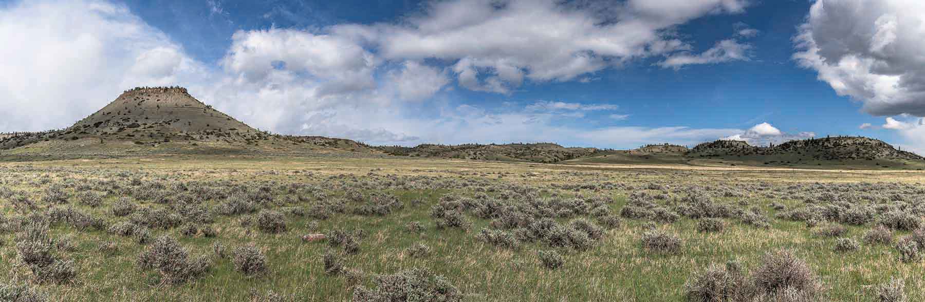 M Lazy 8 Ranch property picture 5 of 25