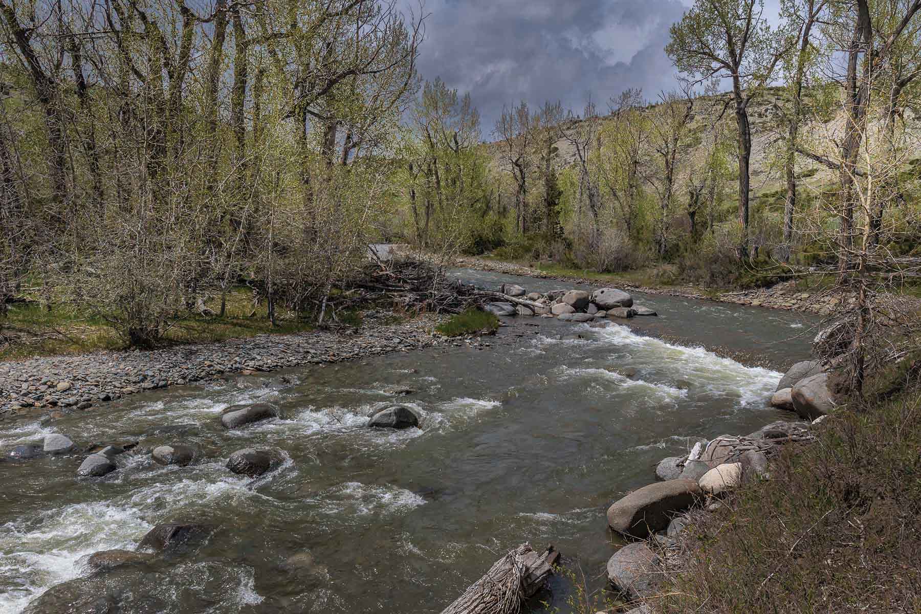 M Lazy 8 Ranch property picture 4 of 25