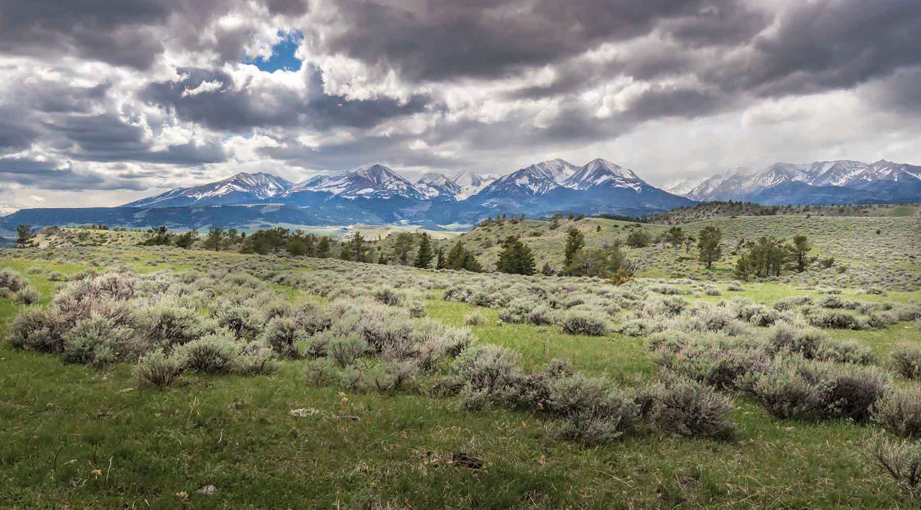 M Lazy 8 Ranch property picture 2 of 25