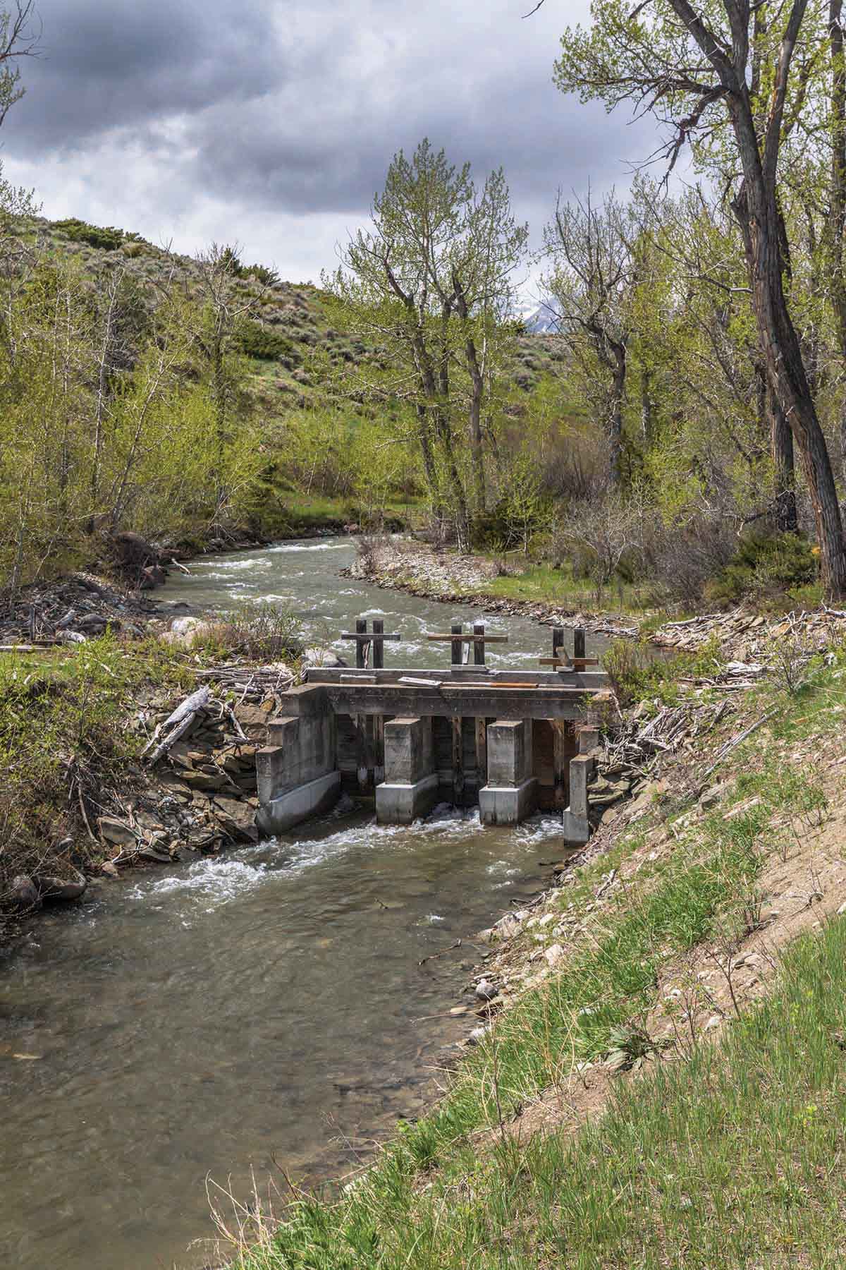 M Lazy 8 Ranch property picture 24 of 25