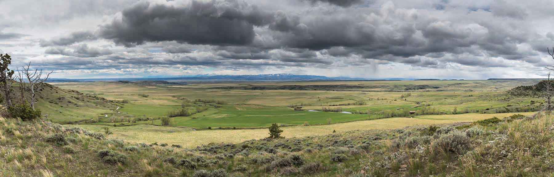 M Lazy 8 Ranch property picture 7 of 25