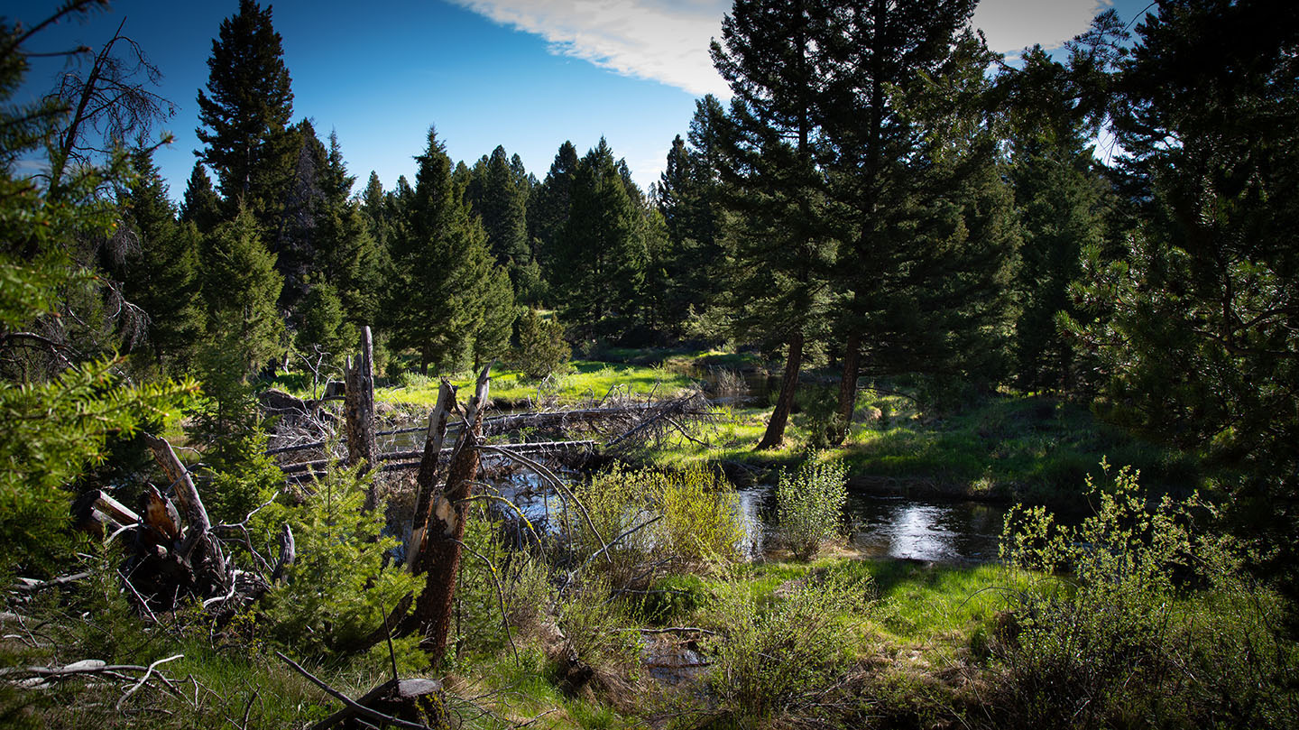 Discovery View Acreage property picture 10 of 21