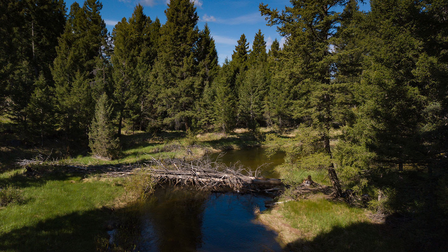 Discovery View Acreage property picture 3 of 21