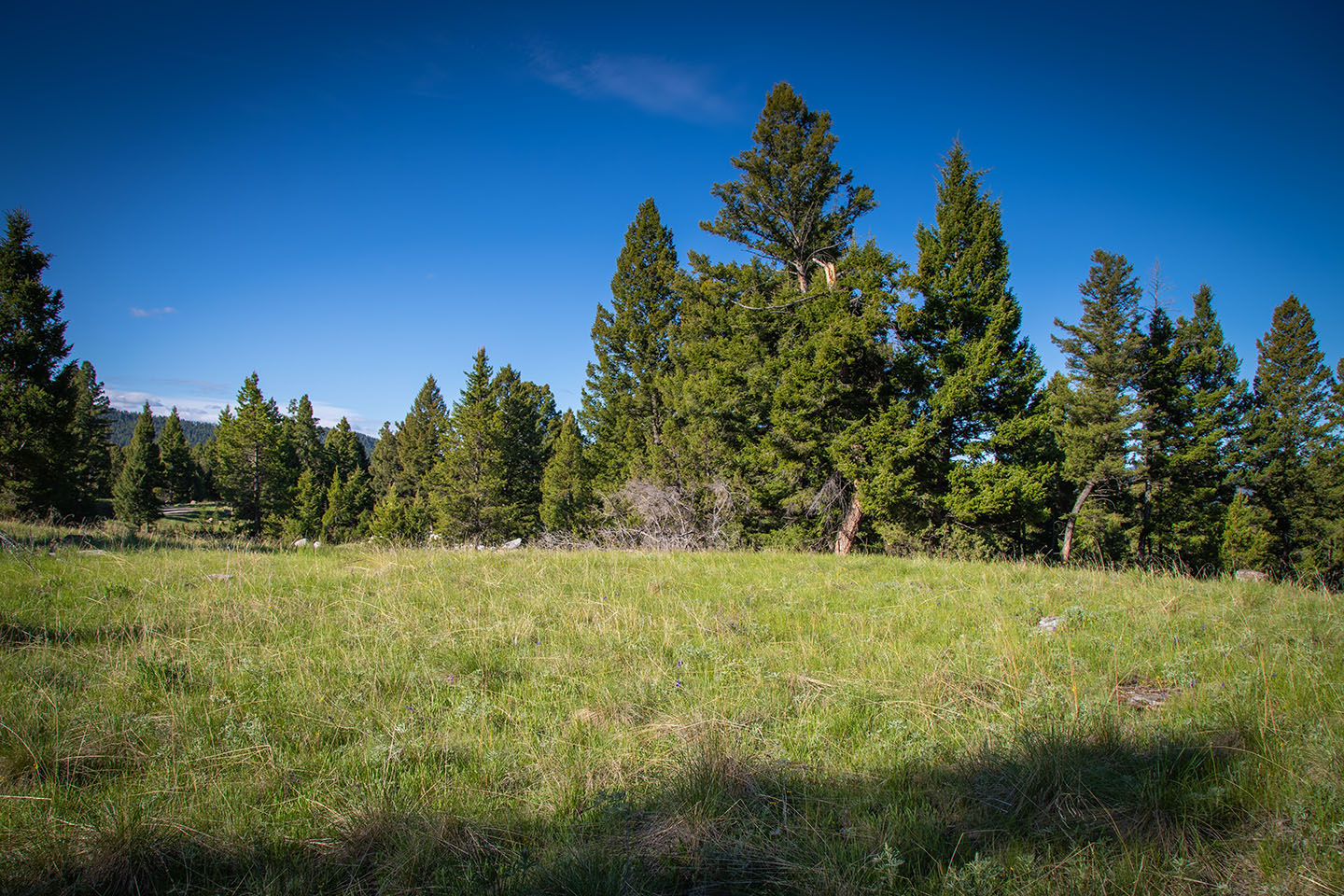 Discovery View Acreage property picture 9 of 21