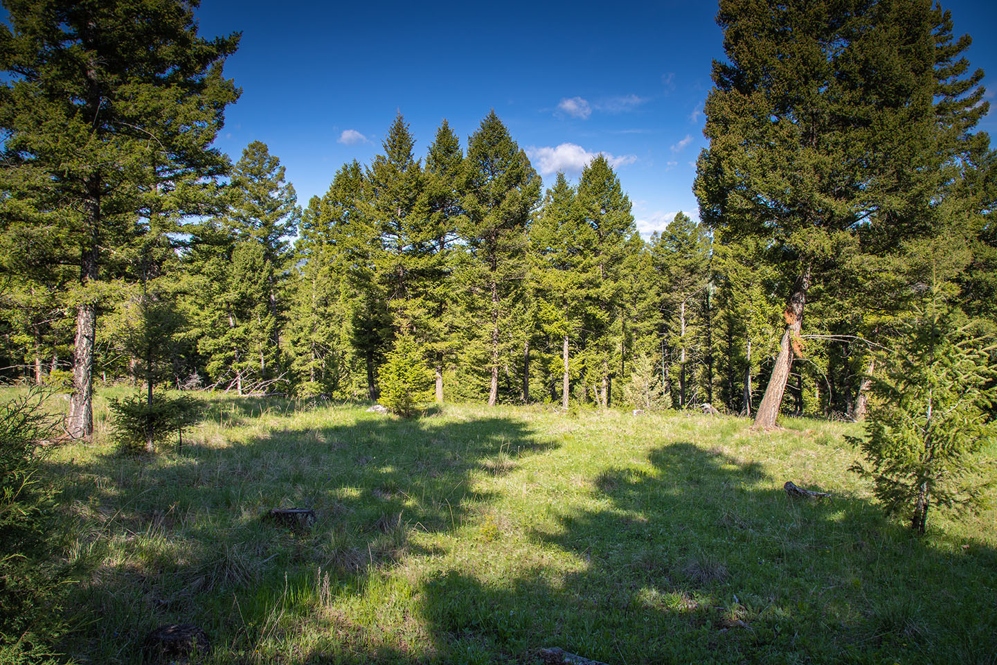 Discovery View Acreage property picture 17 of 21