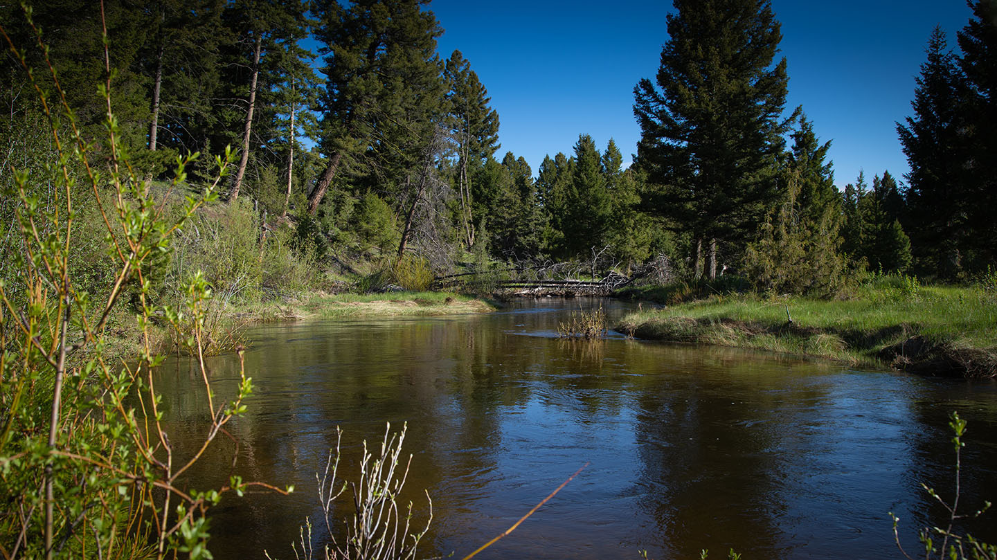 Discovery View Acreage property picture 8 of 21