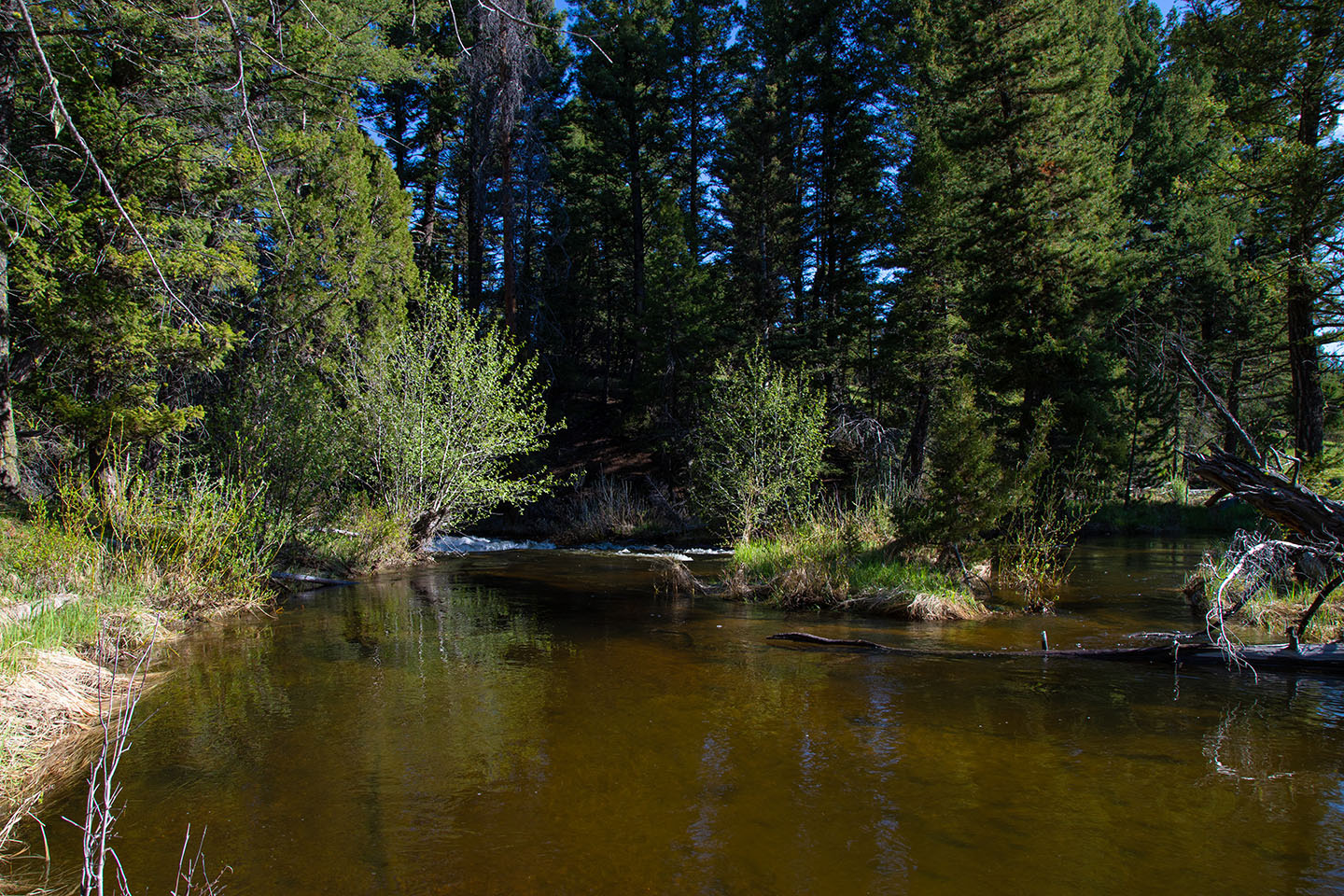 Discovery View Acreage property picture 11 of 21