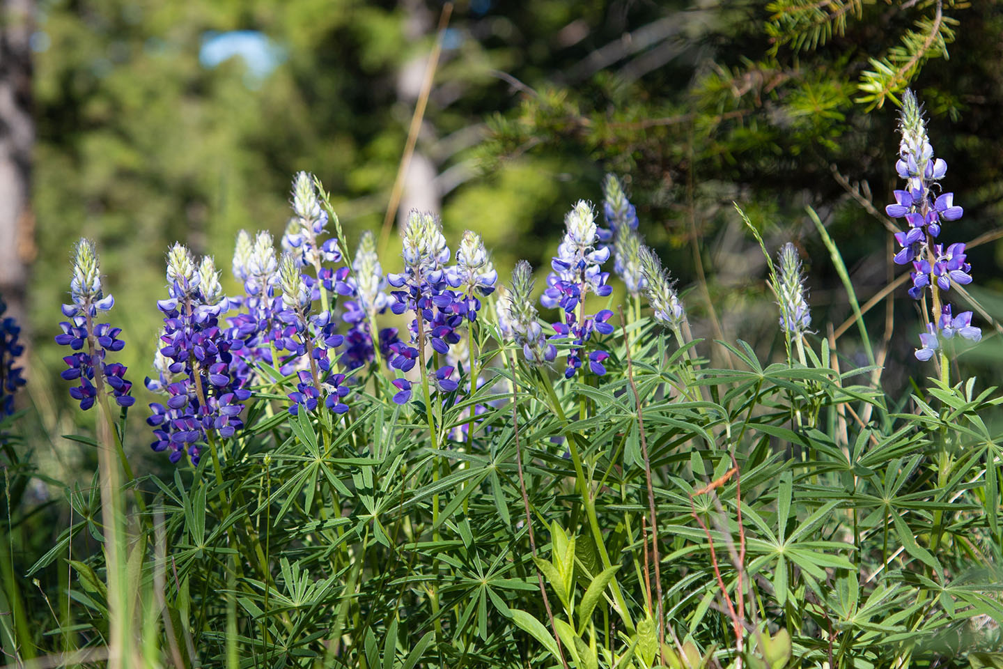 Discovery View Acreage property picture 15 of 21