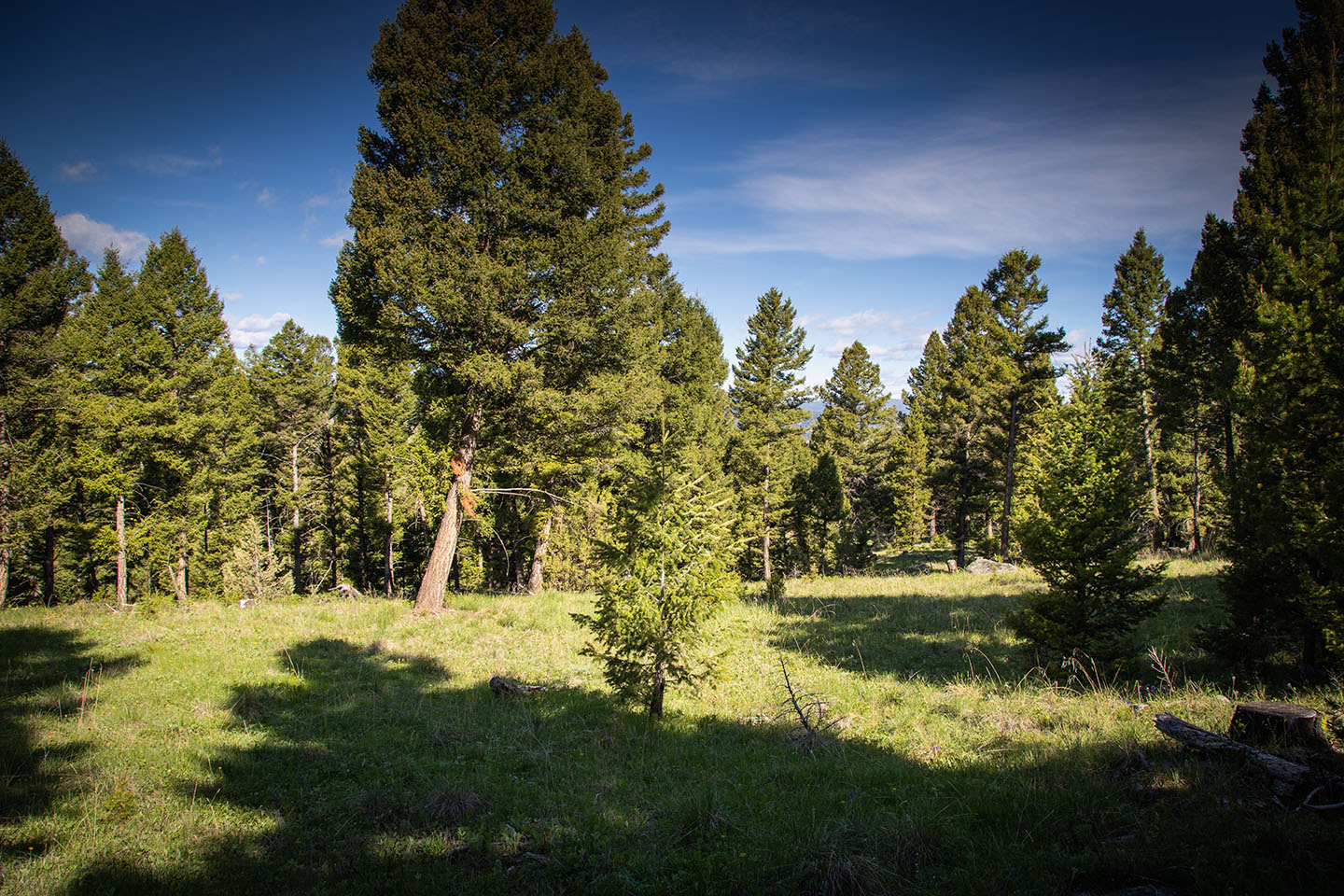 Discovery View Acreage property picture 16 of 21