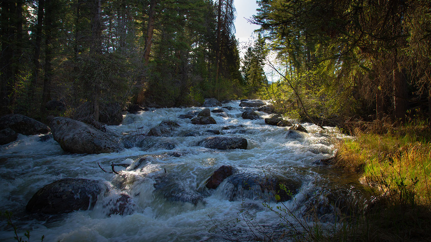 Discovery View Acreage property picture 14 of 21