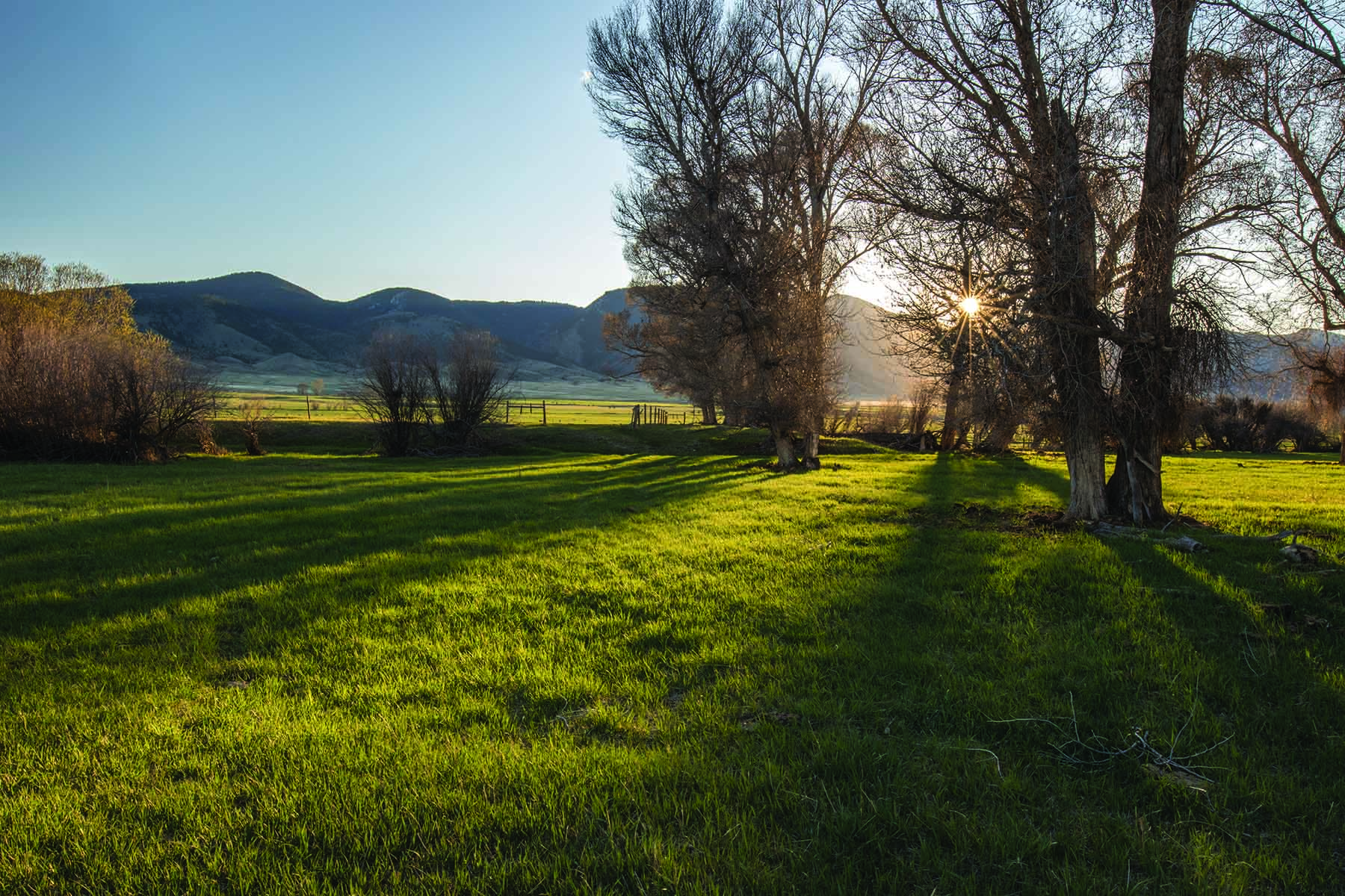 Ruby River Ranch property picture 21 of 25