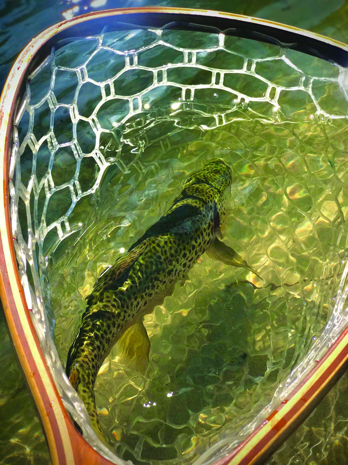 Ruby River Ranch property picture 14 of 25