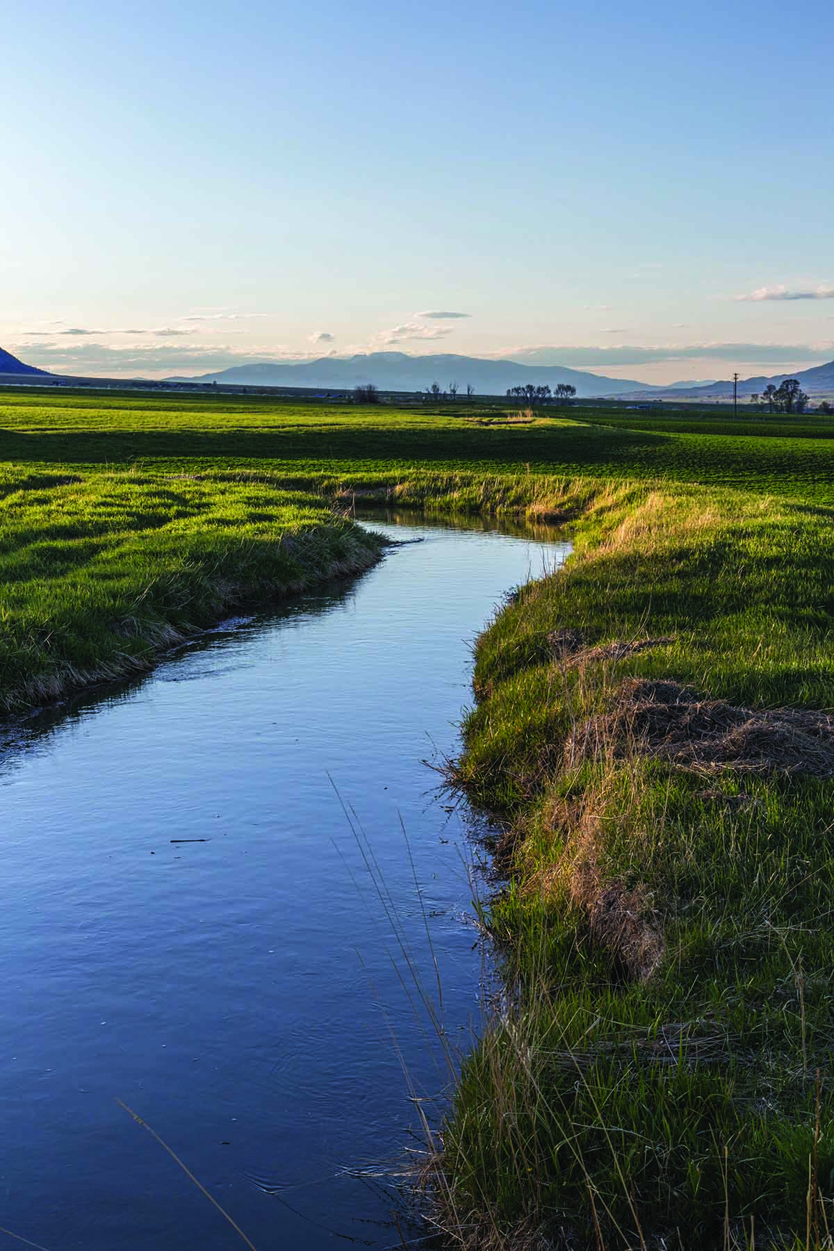 Ruby River Ranch property picture 11 of 25