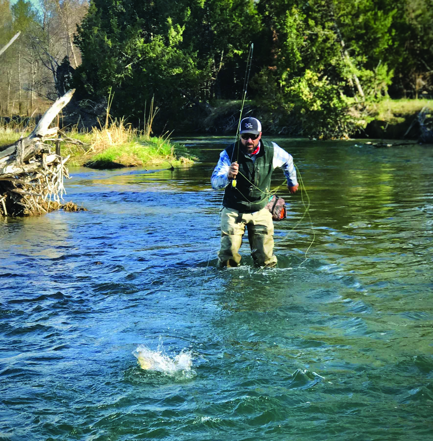Ruby River Ranch property picture 13 of 25