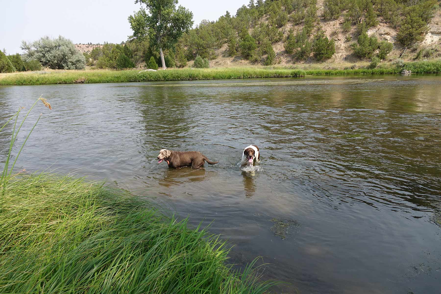 Lazy XY Ranch property picture 72 of 78