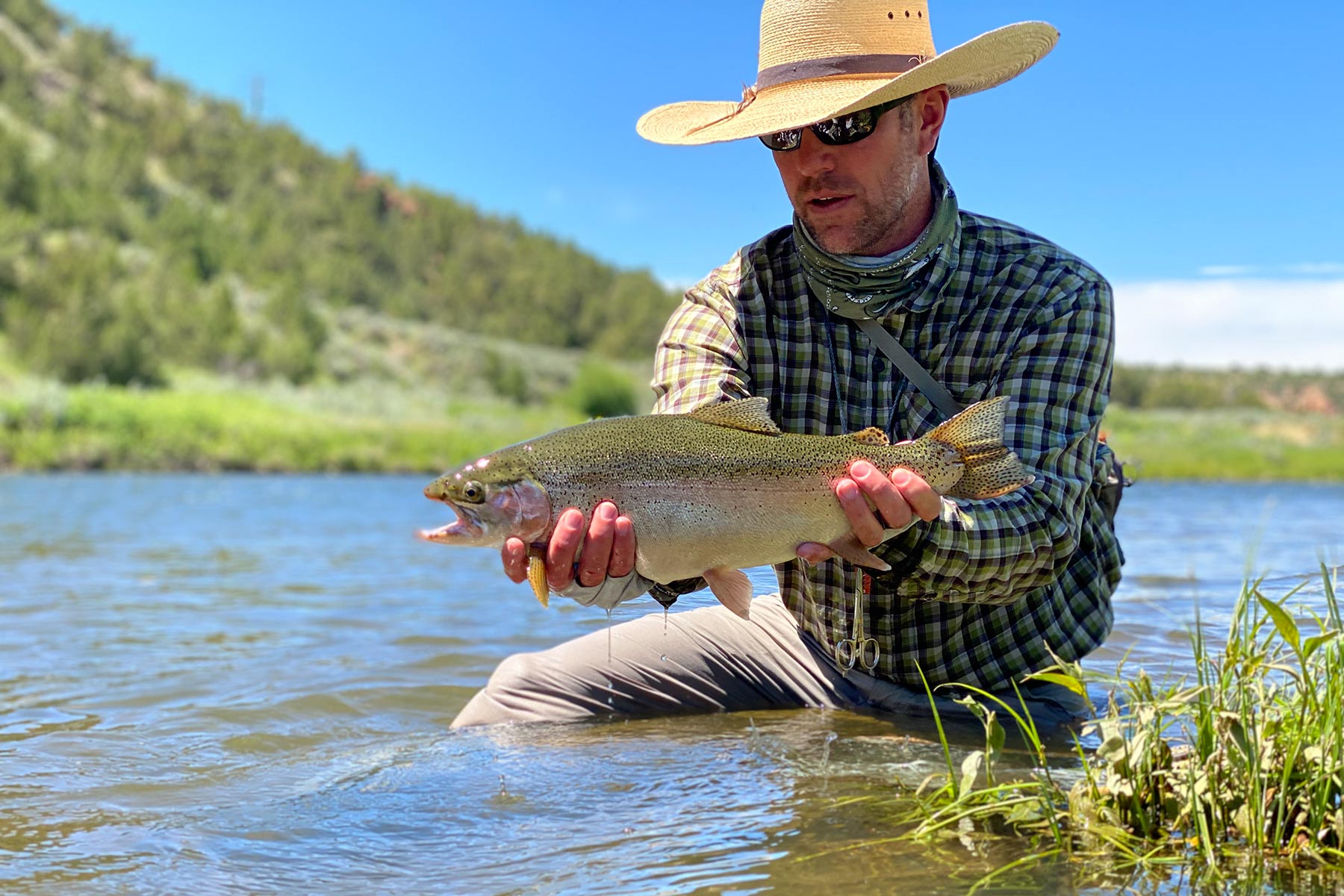 Lazy XY Ranch property picture 70 of 78