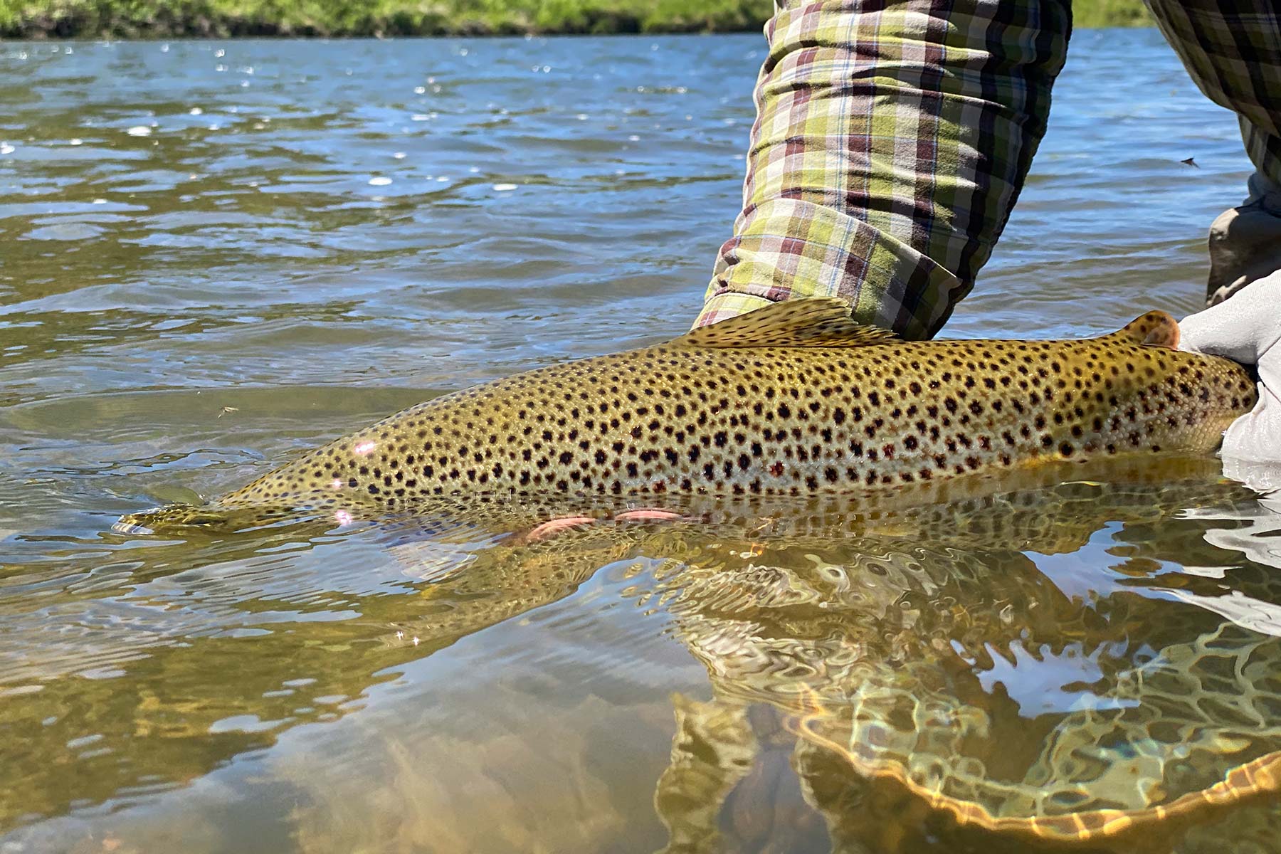 Lazy XY Ranch property picture 69 of 78