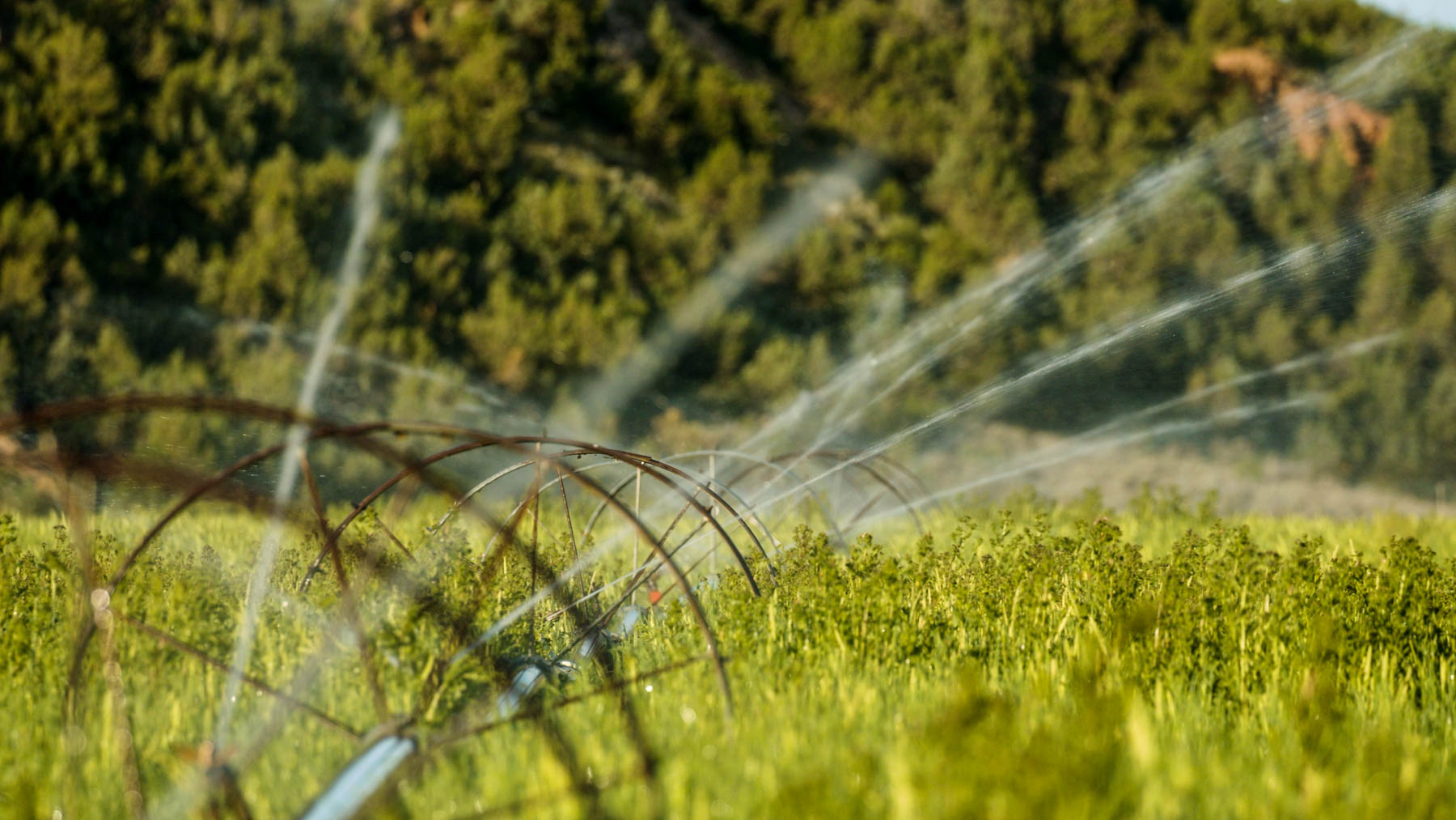 Lazy XY Ranch property picture 8 of 78